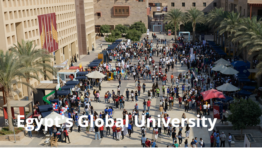 Graduate Education Fellowship at The American University in Cairo, Egypt
