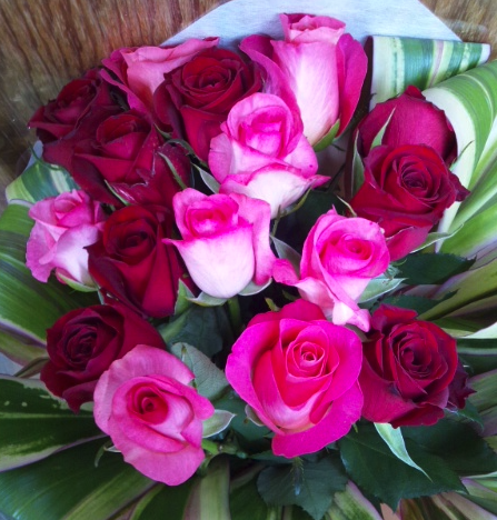 アクトフラワー Twitter Search Twitter アクトフラワー Twitter Search Twitter