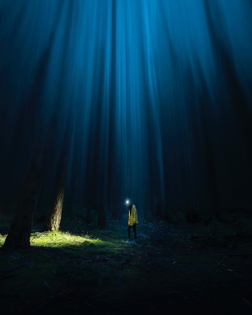 cathsimard_'s tweet photo. gn from the abyss https://t.co/GJvcG1FEzi