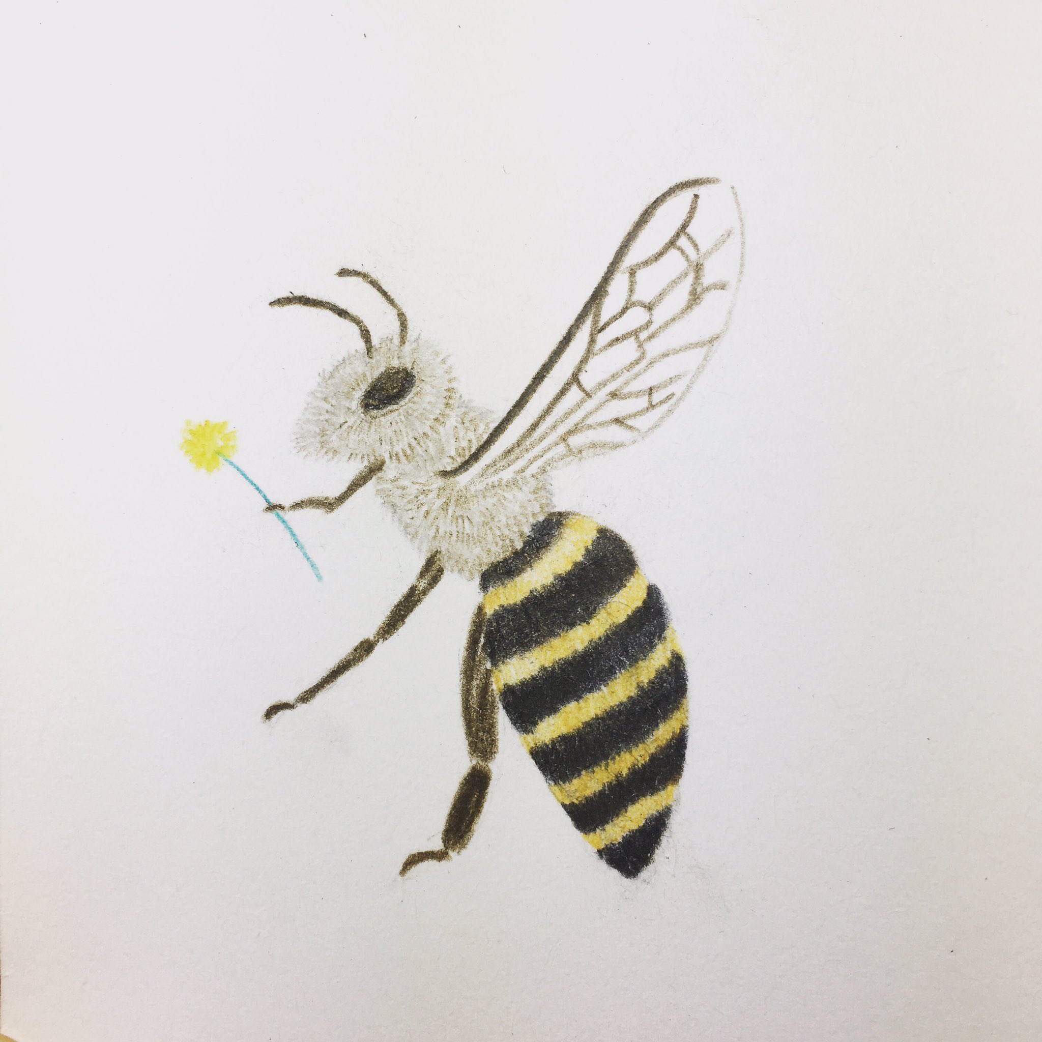 Japanesebee Twitter Search Twitter