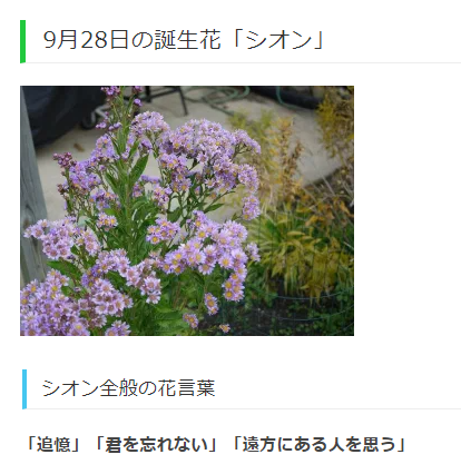 Twitter 上的sylvesterr Vanitasnocarte Vanitas S Birthday Is February 7th And His Birth Flower Is Forget Me Not Whereas Noe His Birthday In September 28th Birth Flower As Asters Shion Has A Meaning Of I Will Never Twitter 上的sylvesterr Vanitasnocarte Vanitas S Birthday Is February 7th And His Birth Flower Is Forget Me Not Whereas Noe His Birthday In September 28th Birth Flower As Asters Shion Has A Meaning Of I Will Never