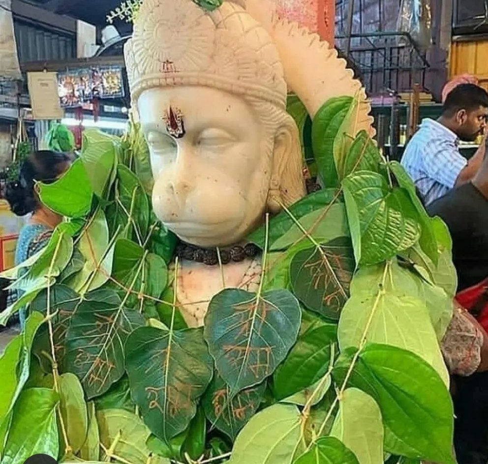 ۗۗۗۗۗۗۗۗۗۗۗۗۗۗۗۗ मधु त्रिपाठी ❣️❣️ۗۗۗۗۗۗۗۗۗۗۗۗۗۗۗۗ tweet media