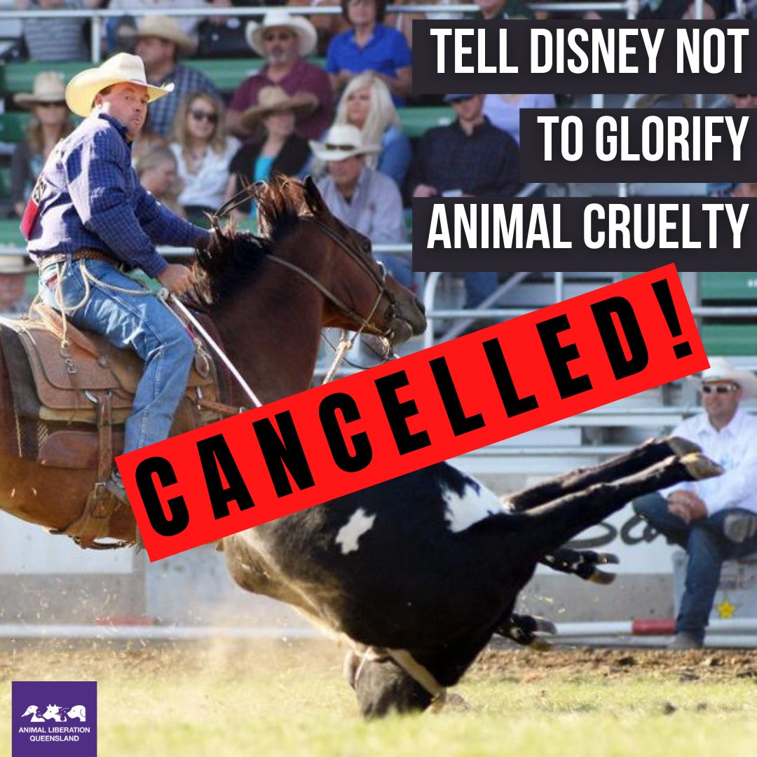 animalkind_aus's tweet photo. Earlier this year, we asked you to add your voice to a petition from SHARK online to stop Disney producing a movie that glorified rodeo, and in particular, a very cruel event called 'steer roping'.

It's now being reported that Disney has dropped this production.  👏 https://t.co/tyBXZV1xYz