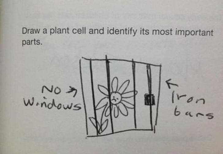 JudyThompsonTLC's tweet photo. So literal. Gotta love 'em.
#judysfun #realenglish #fluency #BackpacersEnglish https://t.co/krLYRLjxjs