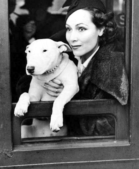 DamesandDogs's tweet photo. #DoloresdelRío with her bull terriers https://t.co/W4ZrumLIfO