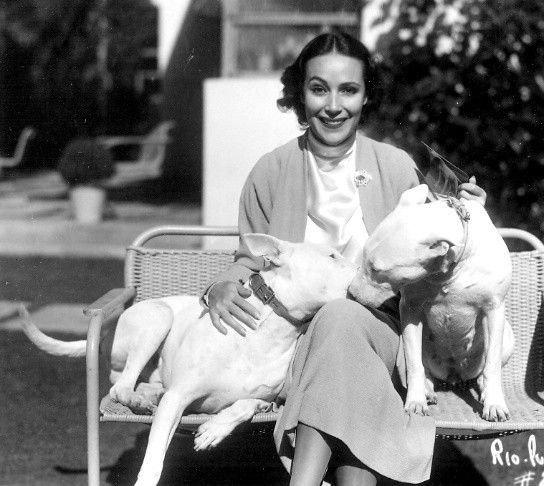 DamesandDogs's tweet photo. #DoloresdelRío with her bull terriers https://t.co/W4ZrumLIfO