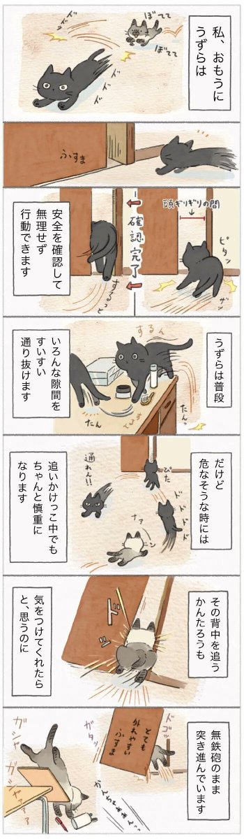 大興奮中も危険を察知できる猫、回避せずに強引に突き進む猫【連載】ねこ連れ草 186話め|ねこのきもちWEB MAGAZINE https://t.co/Nqx9Pw54Pu 