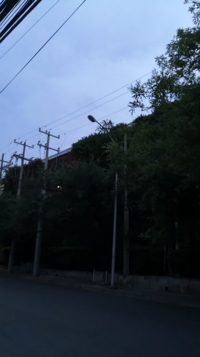 Gustavo Morales tweet media