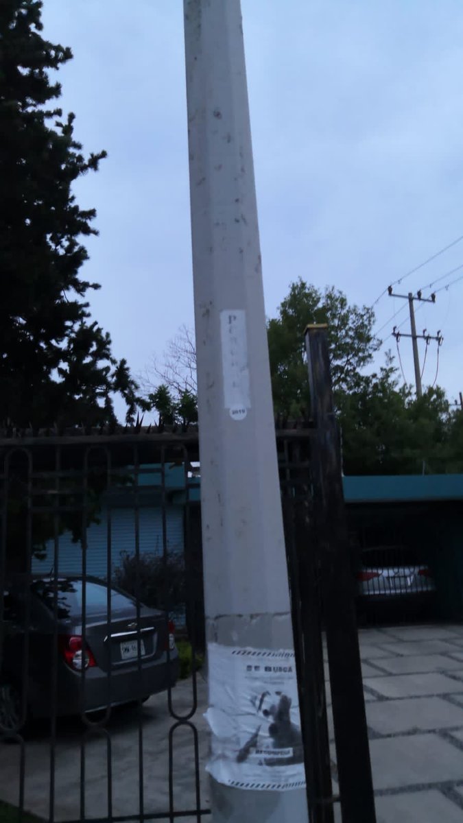 Gustavo Morales tweet media