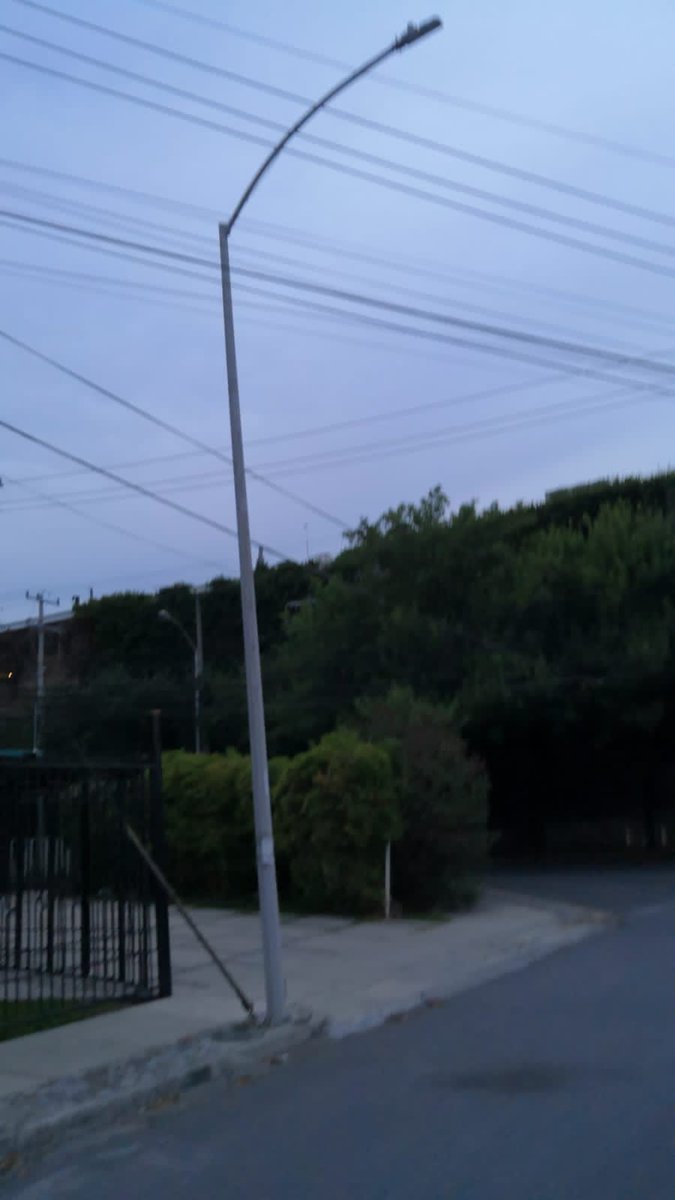 Gustavo Morales tweet media