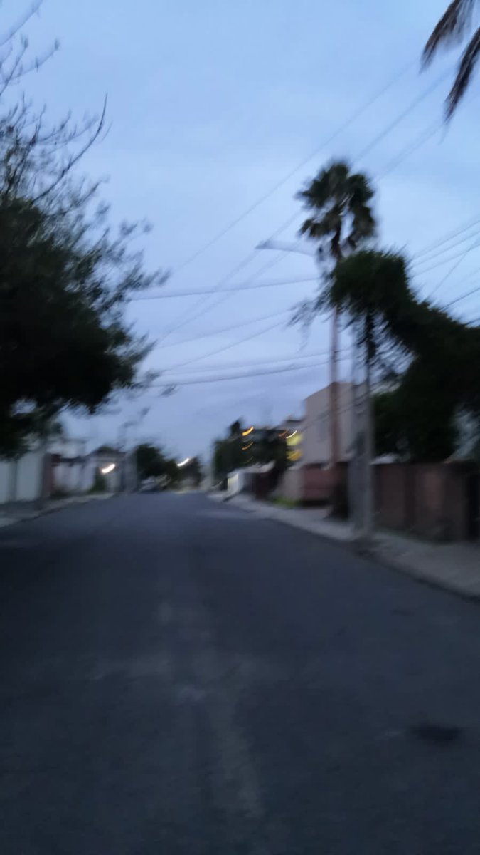 Gustavo Morales tweet media