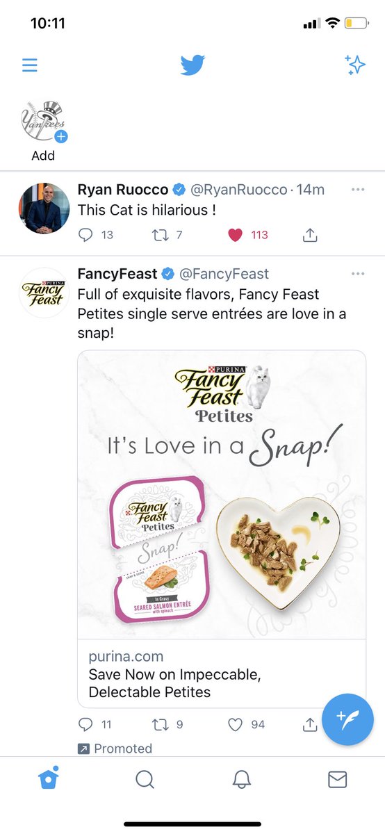 Becauseimthemom's tweet photo. @RyanRuocco How crazy is it that there is cat food ad under your tweet lol https://t.co/JSHjX67PLe