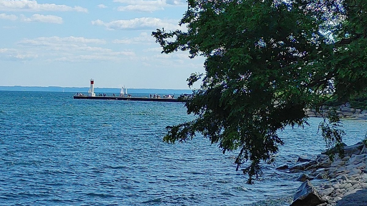 JeanYip3's tweet image. Chilling with my cousin,  haven’t been able to do that for over a year.  So happy to celebrate her milestone 🎂 At Credit Village Marina. Thanks Oakville MP @PamDamoff for her suggestions.  We explored downtown Oakville and Digby Park, a tree lined trail by Lake Ontario. #Aug2