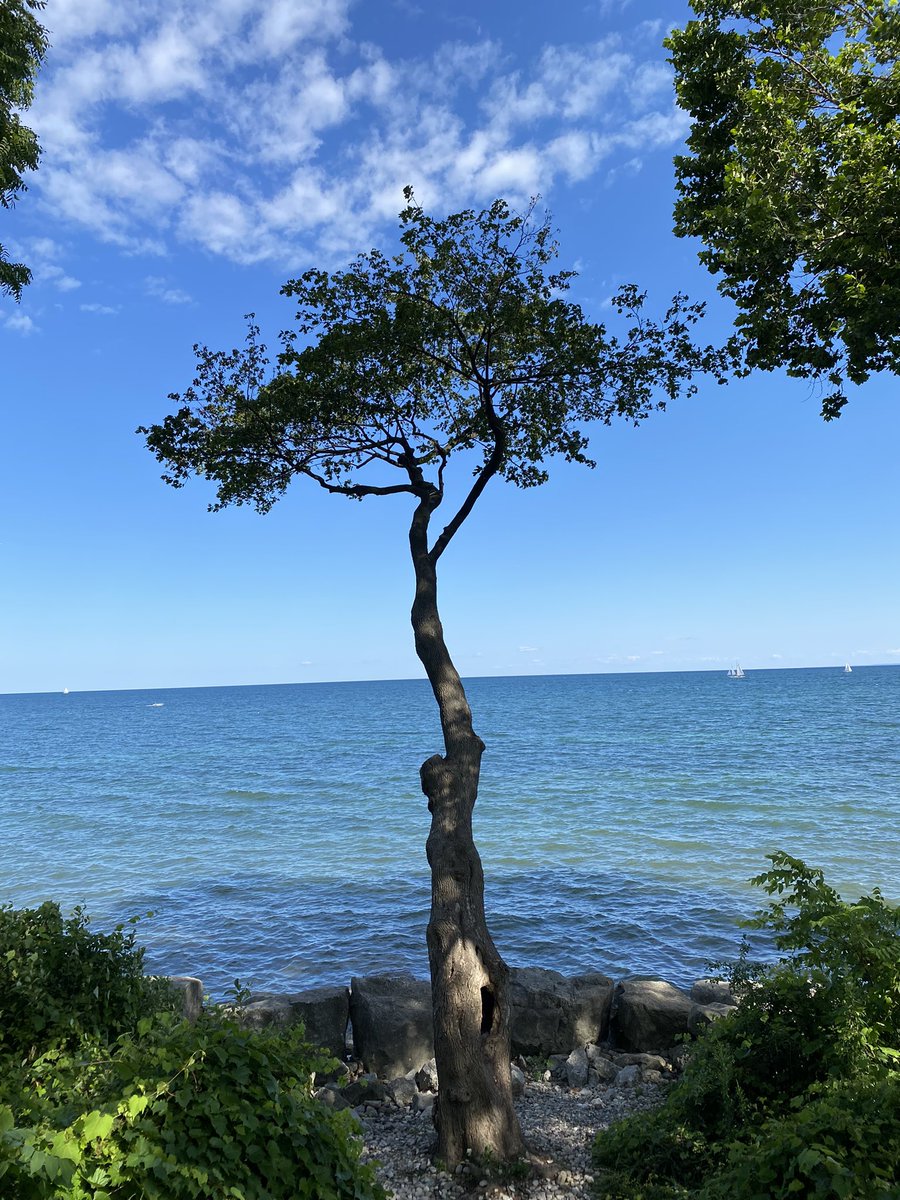 JeanYip3's tweet image. Chilling with my cousin,  haven’t been able to do that for over a year.  So happy to celebrate her milestone 🎂 At Credit Village Marina. Thanks Oakville MP @PamDamoff for her suggestions.  We explored downtown Oakville and Digby Park, a tree lined trail by Lake Ontario. #Aug2