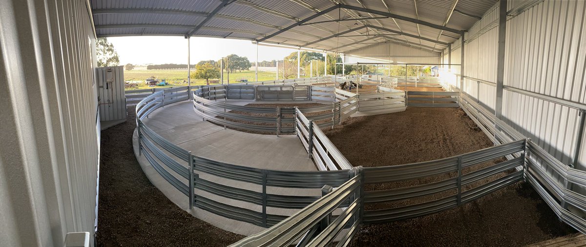 The new Shearing Shed &amp; Sheep Yards are almost complete.  Gave them a test run on the weekend for lamb marking.  Great! 👍