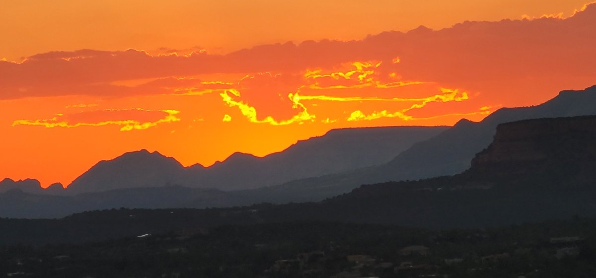 Simon Tackelberry Oram (@euginetackelbe1) on Twitter photo 