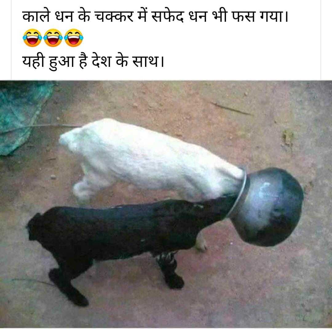 RoshanSheikh20's tweet photo. https://t.co/HNNVqWSTWf