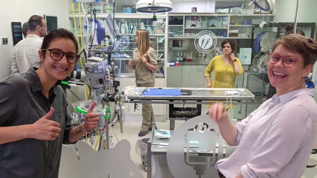 Tonight's the night! Tune in to #ABCCatalyst tonight at 8.30pm to see me and <a href="/jones_ann/">Ann Jones</a> "ooo" over tiny possums, "ahhh" over liquid nitrogen vapour... and talk about the importance of #biobanking and the <a href="/AusFrozenZoo/">Australian Frozen Zoo</a>. Here's a sneak peek- fb.watch/78p-sCFbvu/