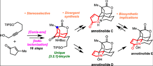 TotalSynthesis's tweet image. Concise and Stereoselective #TotalSyntheses of Annotinolides C, D, and E by Pei Qu and Scott A. Snyder @SASnyderLab @UChiChemistry in @J_A_C_S pubs.acs.org/doi/10.1021/ja…