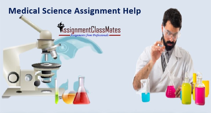 AssignmentMates's tweet image. Assignment Classmates is one of the most reliable sources for help with medical science assignments and biology homework help. We provide the best medical assignment help.
Order Online: assignmentclassmates.com/medical-assign…
#MedicalAssignmentHelp #MedicalScienceHelp #MedicalWritingHelp