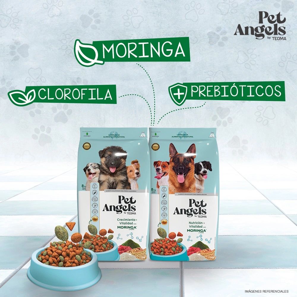 divinaterraperu's tweet photo. #PetAngels. 
Este es un alimento completo y balanceado, desarrollado con ingredientes funcionales naturales como: ​
🐾 Moringa​
🐾 Clorofila ​
🐾 Prebióticos​
Información: https://t.co/TxL9UQ77BE
@danegamez
#amoamiperro #perrosperu #alimentoparaperros #doglover #comidaparaperros https://t.co/hk7wbi0RKZ