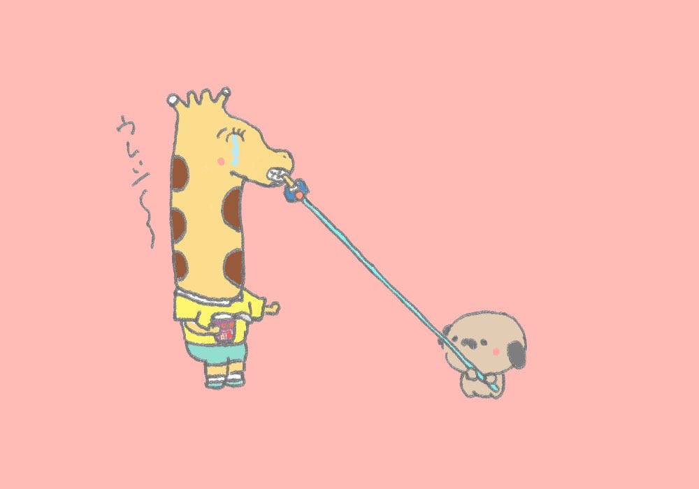 leash pink background dog simple background tears standing shirt  illustration images