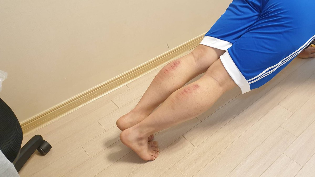 지난 주말 플했던 사진