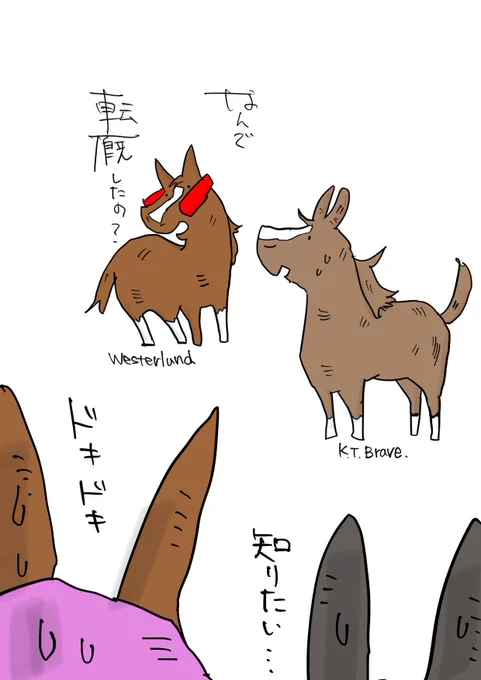 後輩が聞きづらい(?)質問をする先輩
#ウェスタールンド
#ケイティブレイブ
#エルムステークス 