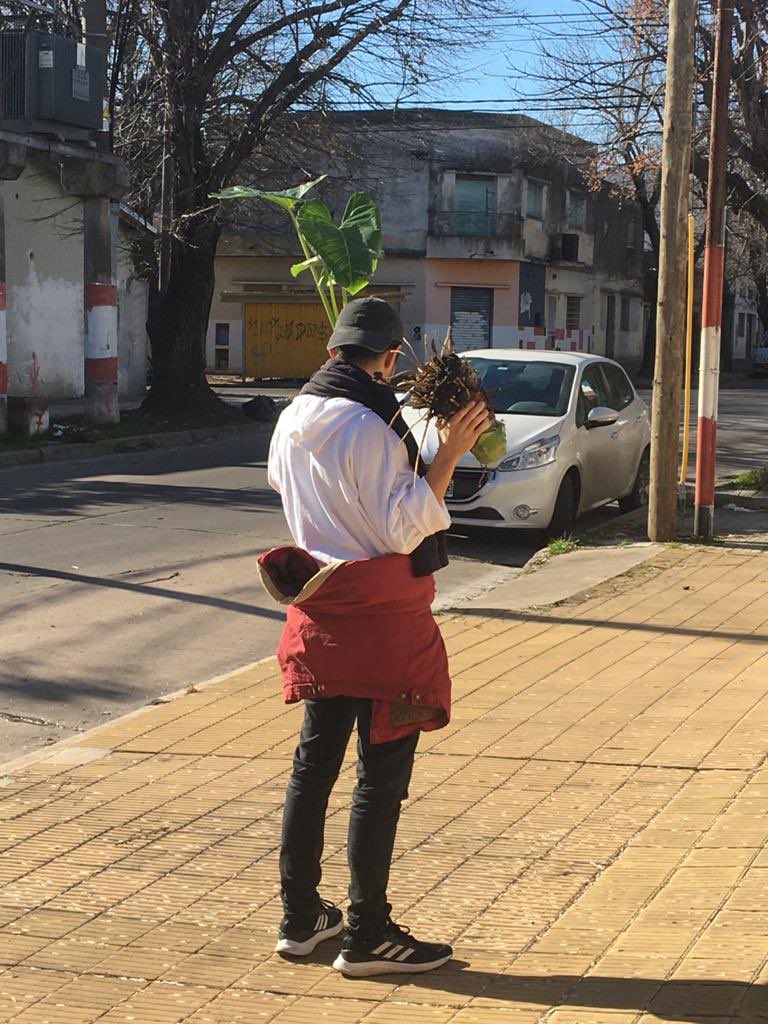 joaquinwall's tweet photo. Un día de hallazgos con yerito 95 🌱💚🍃@_yer0_ https://t.co/d7Nt2Ma0Cv