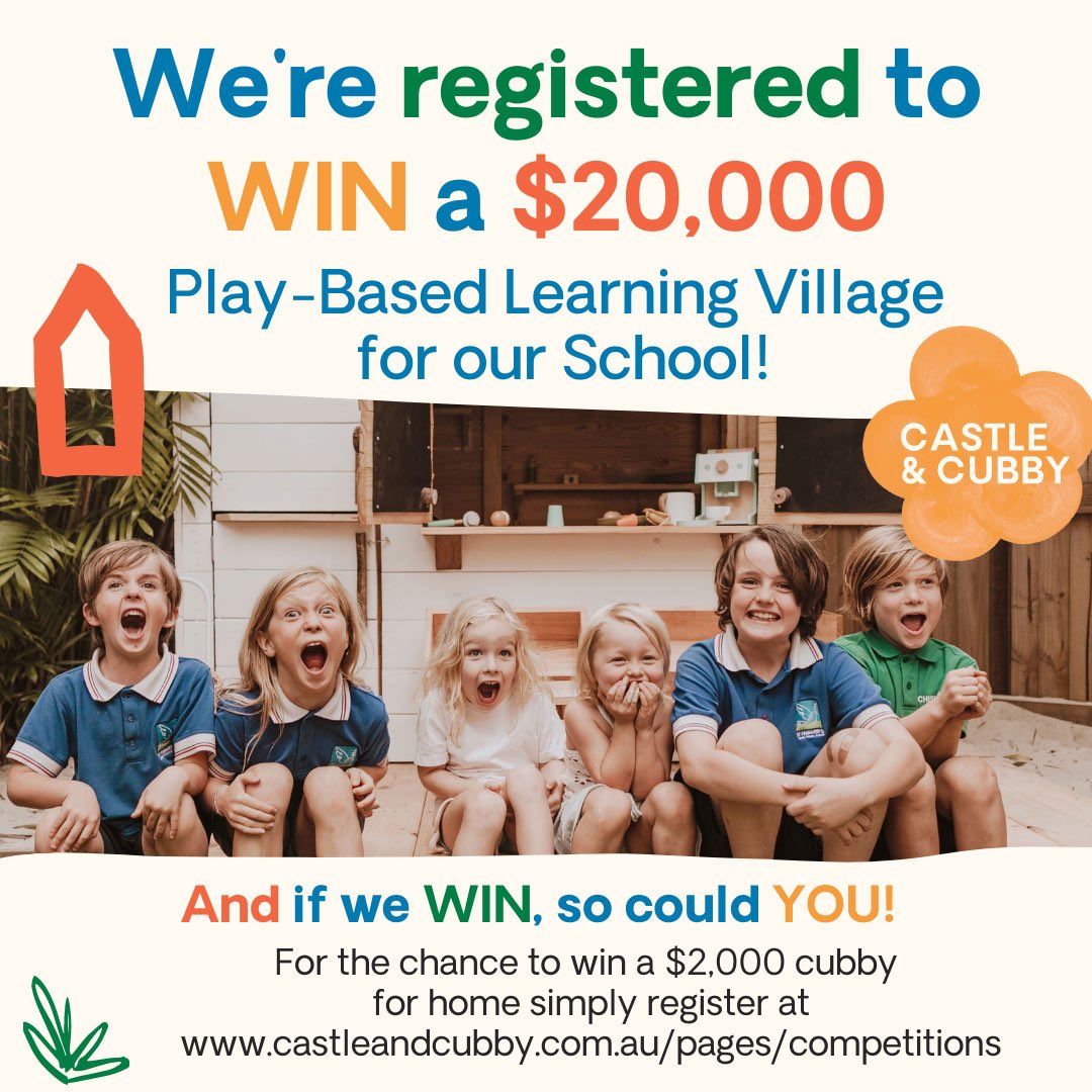 Denham Court Public School tweet media