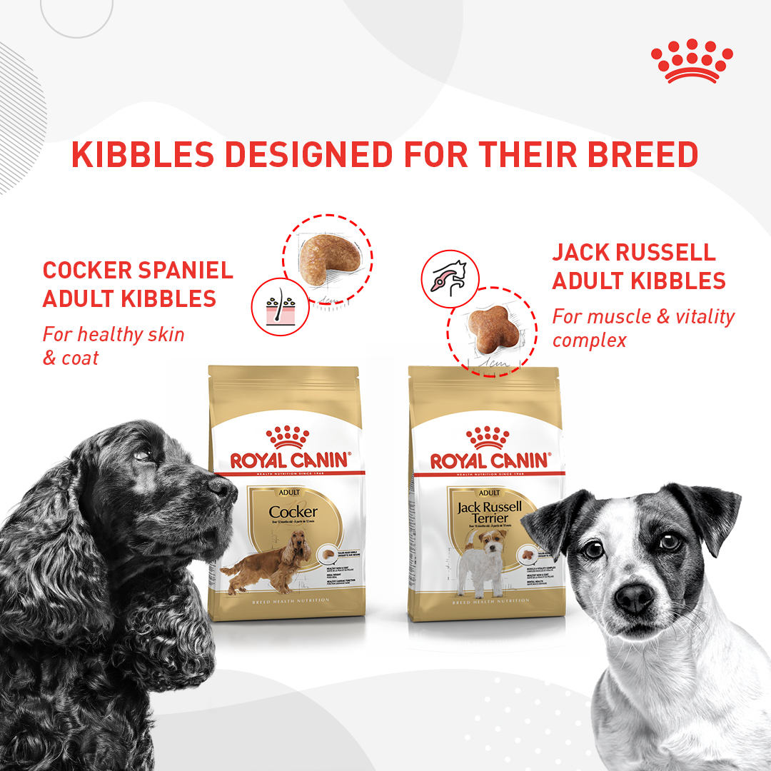 Each dog breed has their own unique traits and needs. Royal Canin tailors Puppy and Dog kibbles to your pet’s specific breed, so you can feel confident about their well-being, inside and out!
