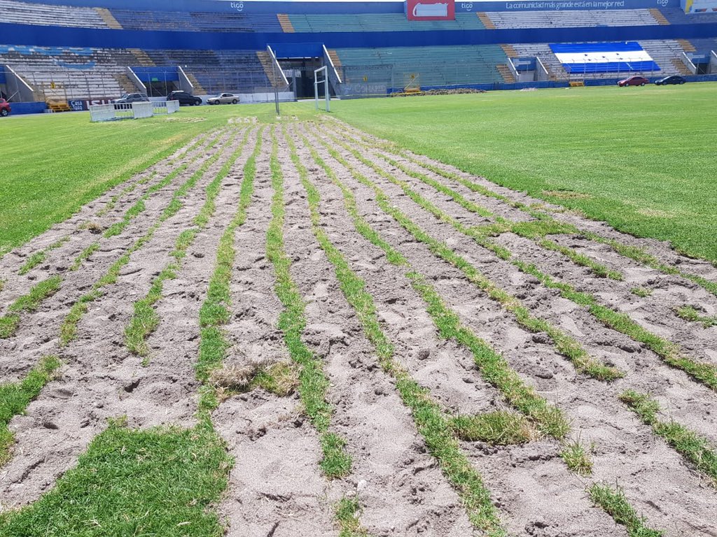 ConapidHN's tweet photo. Los trabajos de mantenimiento de la cancha de fútbol del Estadio Nacional continúan para tenerla lista para el inicio de la liga nacional .
Gracias a los dos equipos por su apoyo Olimpia, Motagua, y a nuestro equipo humano por su excelente trabajo . https://t.co/dTm79aIC2p