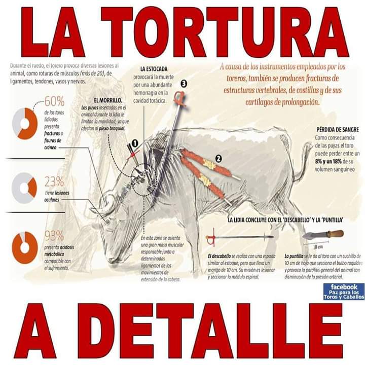ilargiberri1's tweet photo. ..... cuando el acero me traspasa el corazón...y tu le llamas fiesta...otra vuelta de tuerca...
Cuando el sadismo se convierte en tradición...y la faena apesta....y a nadie le molesta...
@AnimalesGob 
#TauromaquiAbolicion https://t.co/7UhAOIDrj4