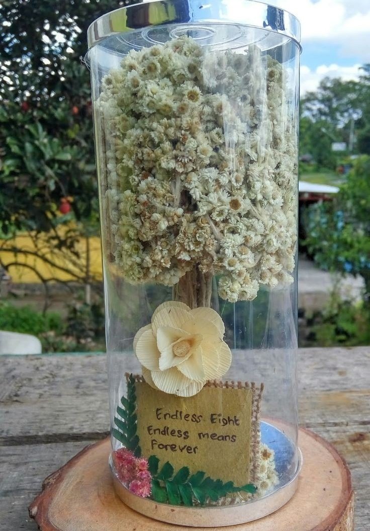 adoreyea's tweet photo. Segitu dulu, maaf bgtttt lamaaaa up nyaa, anw ada perubahan font yaaa, kalo kalian ngeh di awal, edelweiss itu bunga ini 💗 https://t.co/pC8Hjs0Ebg
