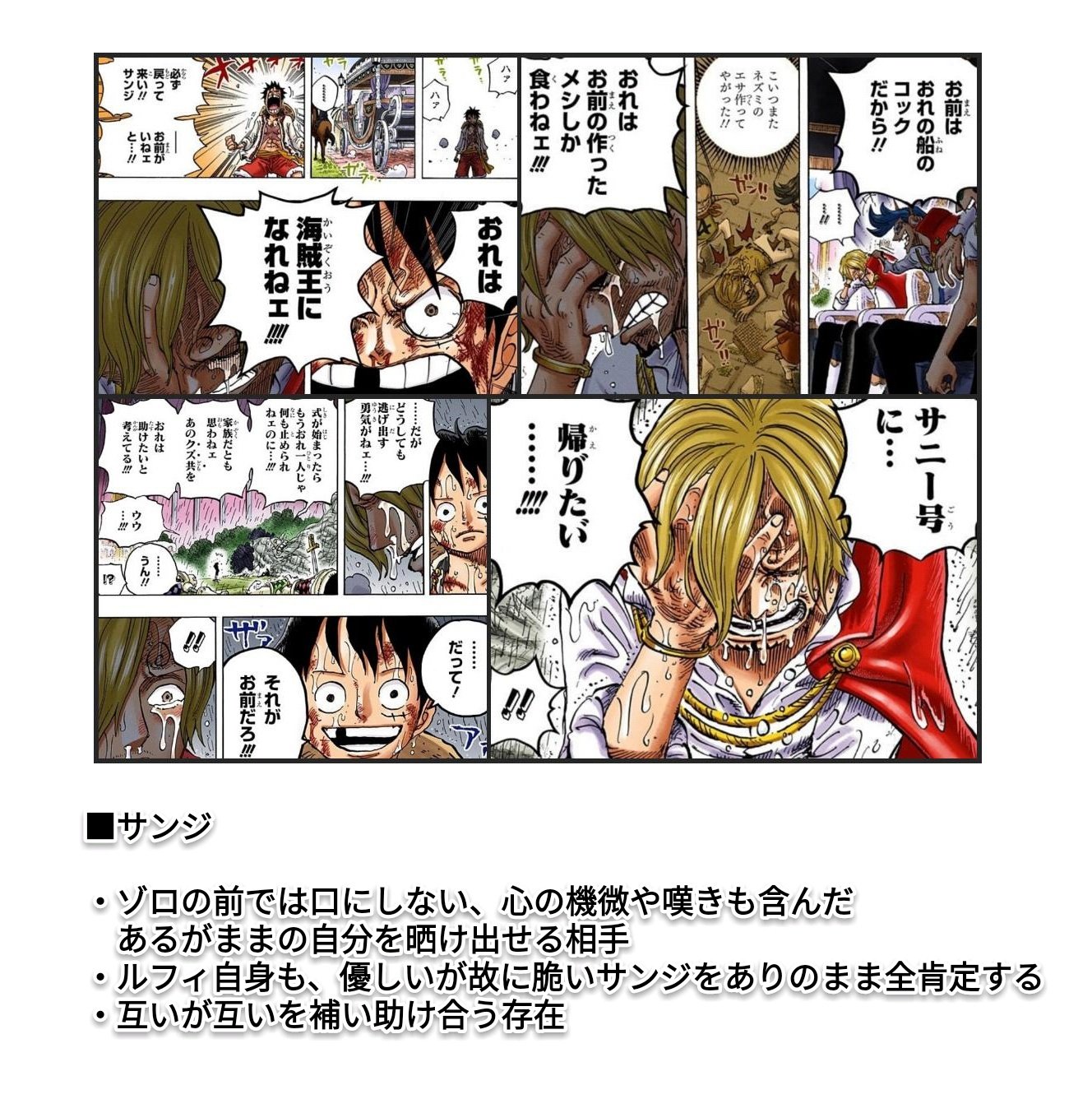 まな ルフィと 両翼 の関係 硬さ と 柔らかさ 強さ と 優しさ の対比 ゾロとサンジは 剛柔 の関係そのものであり ルフィが海賊王の夢へ飛び立つ為の一対の羽 Onepiece T Co Pe52jozh3d Twitter