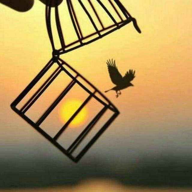 nb1418's tweet photo. أكثر ما يطمئن روحي أن اللّٰه تعالى يعرفني، يعرف من أكُون ويعرف كيف أبدو من الداخِل، ويعرف كل جوانبي، هو في قلبي ومَعي في كل مكان ..فـ يارب هوّن ويسر وهب لي من لدنك طمأنينة والرضا بكل شيء https://t.co/AjSXLbiGU7