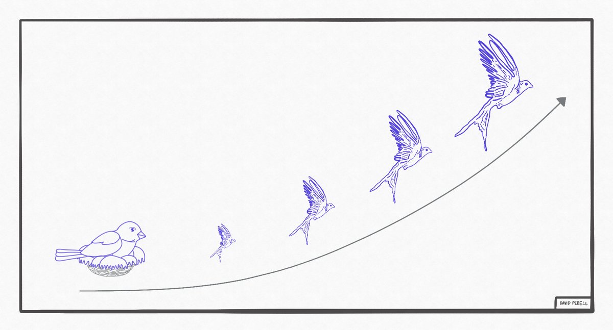 david_perell's tweet photo. At Steve Jobs’ funeral Jony Ive said: “I think he better than anyone understood that while ideas ultimately can be so powerful, they begin as fragile, barely formed thoughts, so easily just squished.”

So protect young ideas like a bird protects its eggs.

Later, they can fly. https://t.co/cfDnhgdlzd