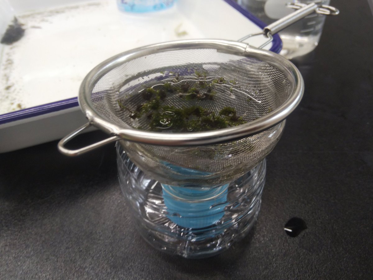 山門郁夫 Ikuo Yamakado Twitter