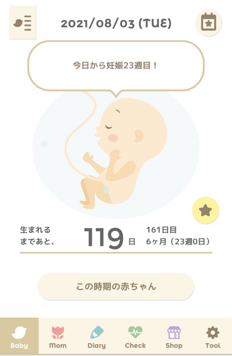 妊娠23週 Twitter Search Twitter