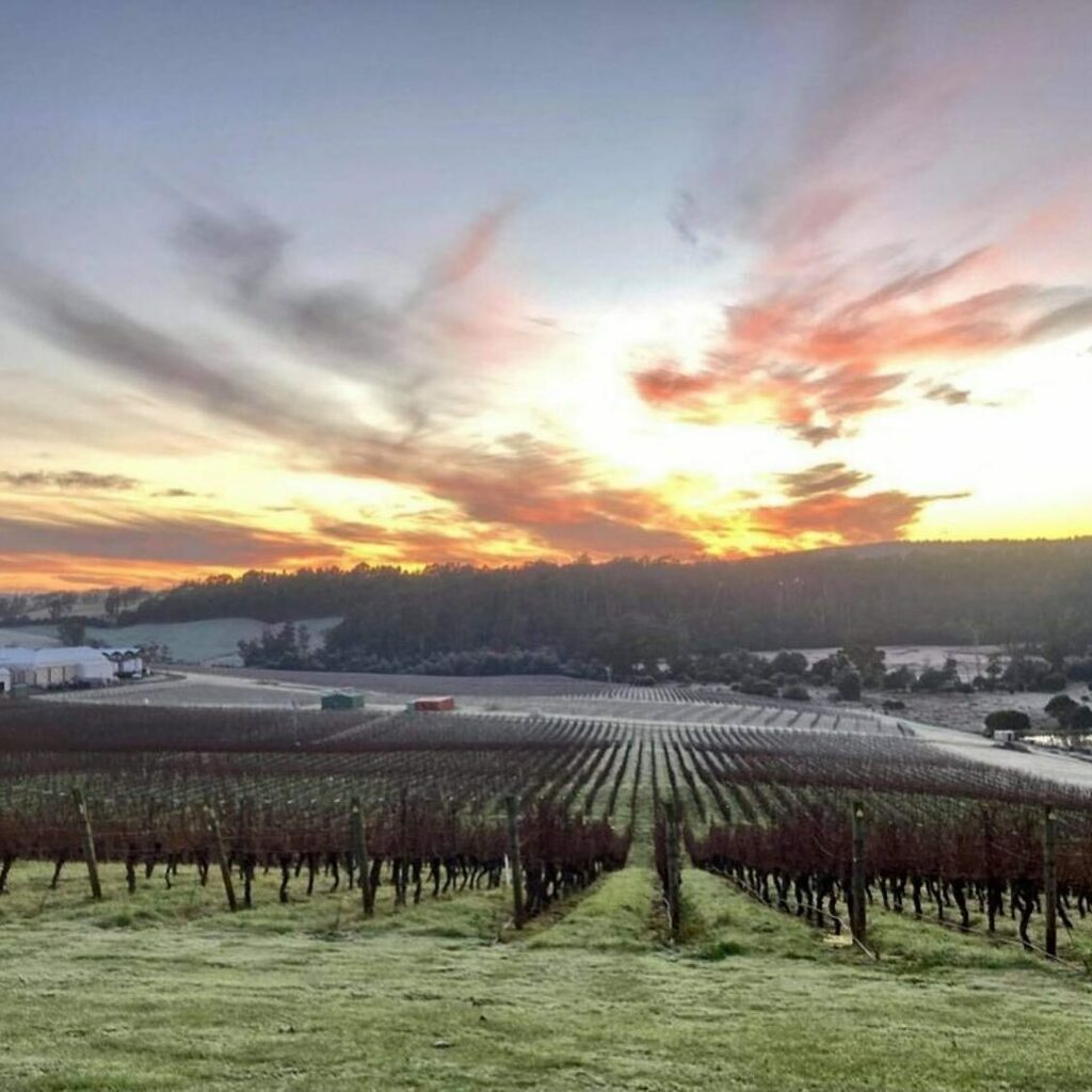 From Instagram: instagr.am/p/CSGOxXzBs1h/
 
#TassieWine
 
In one of the coolest wine growing areas and with the highest winter rainfall. Tough but rewarding. @bayoffireswines #tassiewine #meetthemakers #meetthetoughasnails Image from @bayoffireswines with <a href="/tasmania/">Discover Tasmania</a> &amp; @brandtasman…