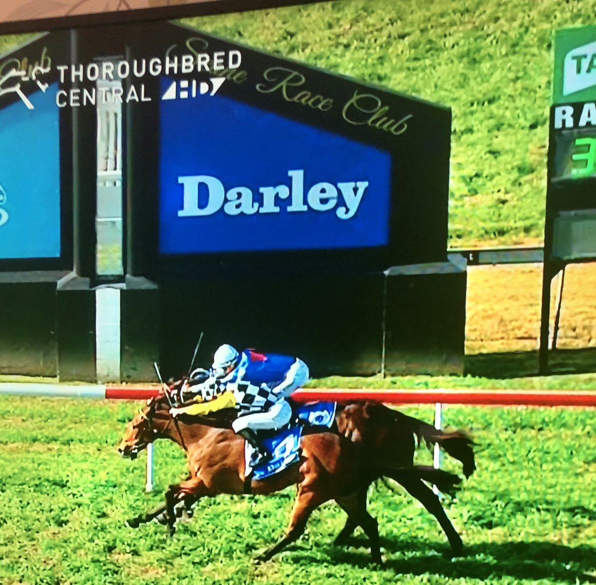 kimwaugh6's tweet photo. Save Your Kisses may not be big in stature but she certainly showed plenty of heart today on debut @sconeraceclub #clearlyheaded #foughtback courtesy of a terrific ride from @HutchingsRory for @DGRTBS @thinkbigstud @CaroSearcc #gutsygirl #1from1 👌👌👋👋💋💋 https://t.co/uZN1EDxWLn