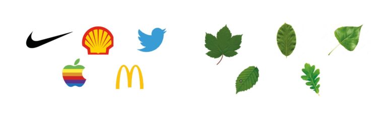 Van welke vijf merken kun je het logo herkennen? En van welke bomen herken je het blad? De weektip van #52wekenduurzaam: Maak reclame voor planten en bomen! Krijt de naam van een #plant of #boom op straat.