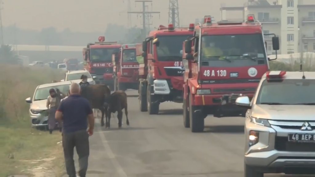 Gördüğünüz arazöz, itfaiye araçlarına, su tankerlerine kornaya basarak selam verin, moral verin ama en önemlisi YOL VERİN.

Yangın bölgelerinde müdahaleyi zorlaştıracak, kalabalık ve trafik oluşturacak davranışlardan lütfen kaçının.