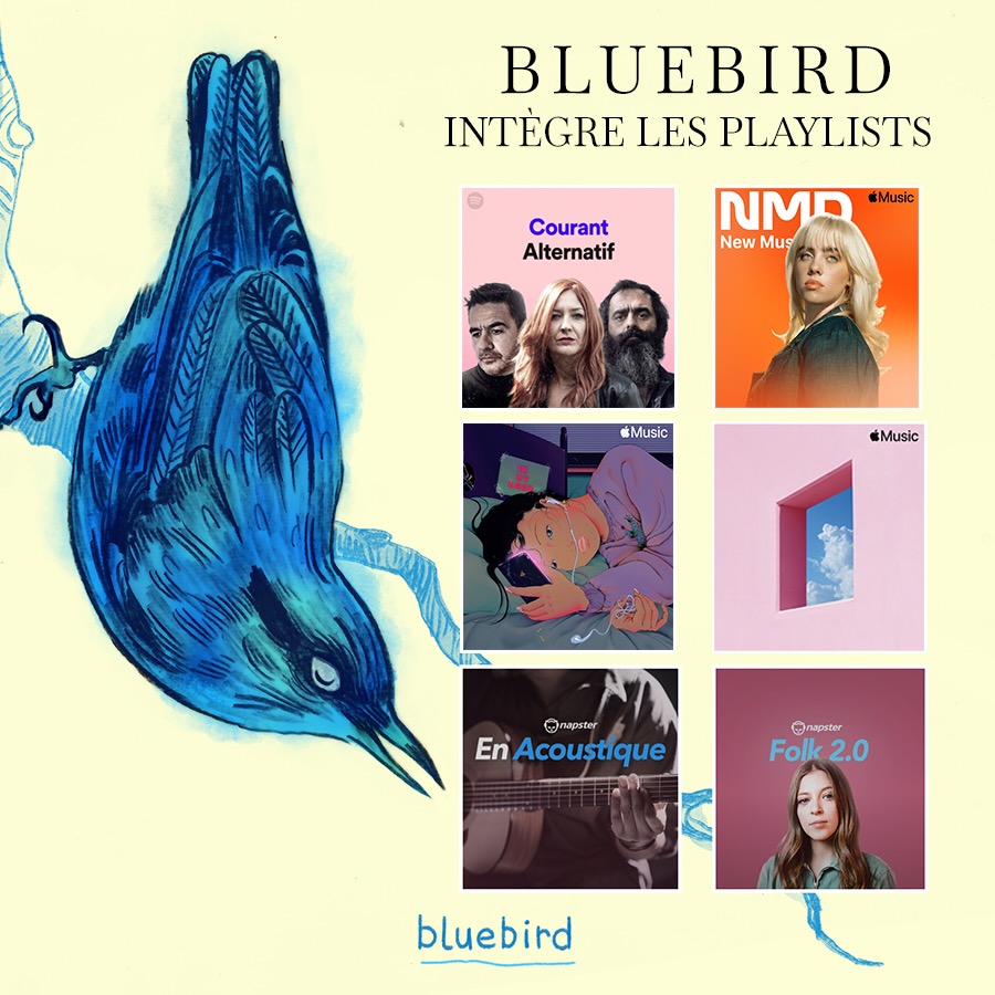 Lucien Ducasse // BLUEBIRD tweet media