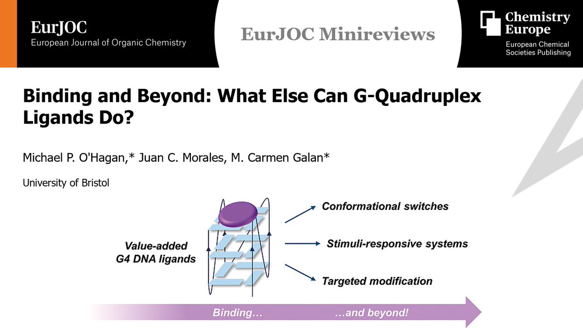 G-quadruplex ligands can do much more than associate with nucleic acids in a host-guest fashion!
Want to know more? Check out the #EurJOCMinireview by <a href="/MCGalan_Bristol/">M. Carmen Galan</a>, <a href="/chemistry_mike/">Michael O'Hagan</a>, and Juan C. Morales (<a href="/BristolChem/">Bristol Chemistry</a>)!

➡️bit.ly/2TLARz7