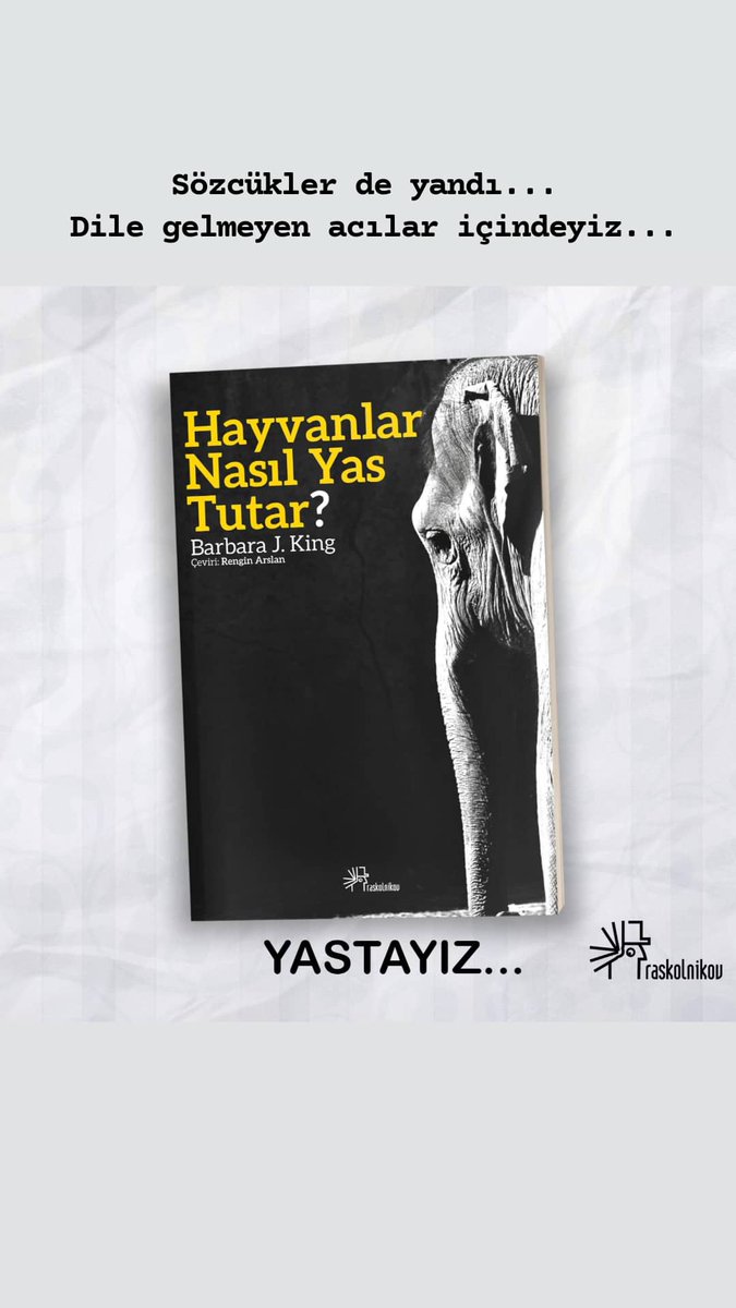 raskolnikov kitap (@raskolnikovktp) on Twitter photo 