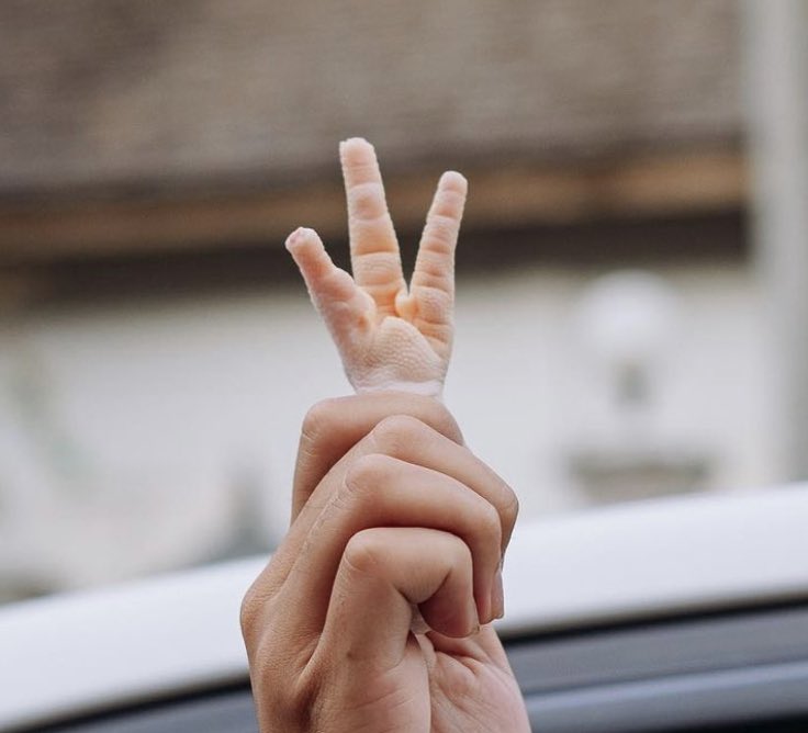 𝘼𝙐𝙃𝙈 - อ้ามมมมม 👑 tweet media
