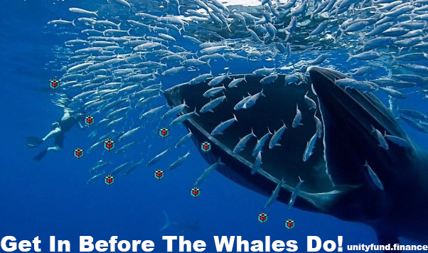 UnityFundHQ's tweet image. We would like to thank $Unity hodlers for believing in us rather than panic selling after the latest pump 💪

V2 is just around the corner and its a 💎 Price is going up again now and your rewards are coming

unityfund.finance
#UnityFundHQ 
#Hodl
#hold