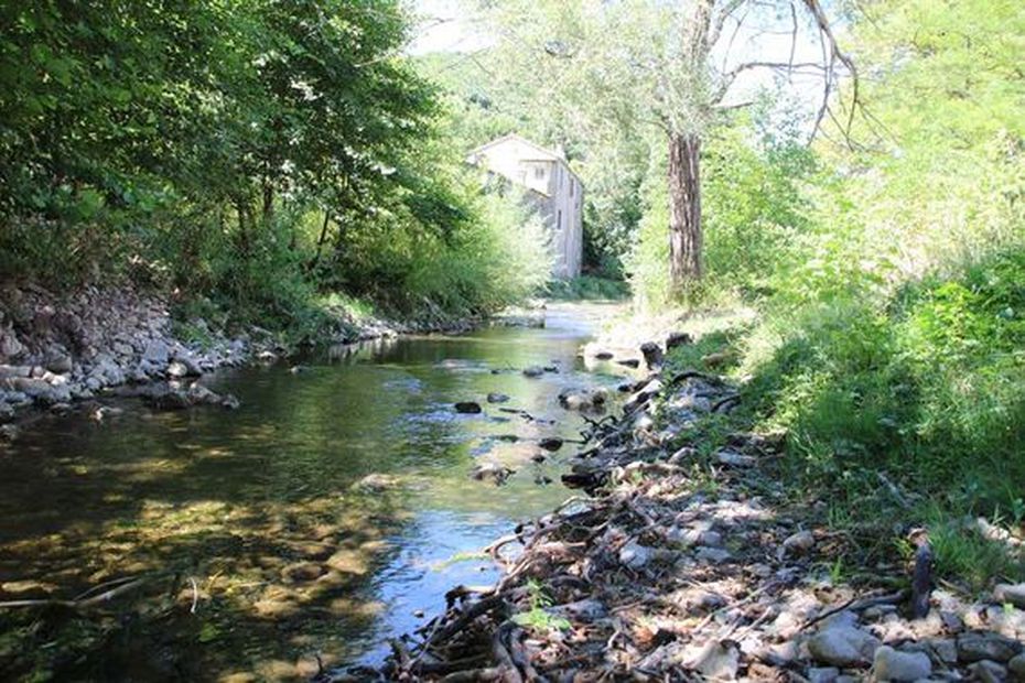 F3Occitanie's tweet photo. Hérault : quand la "renaturation" d'une rivière fait renaitre la biodiversité et anime le centre-ville de Lodève https://t.co/Ff0mclBZXy https://t.co/FzsRlRpdsv