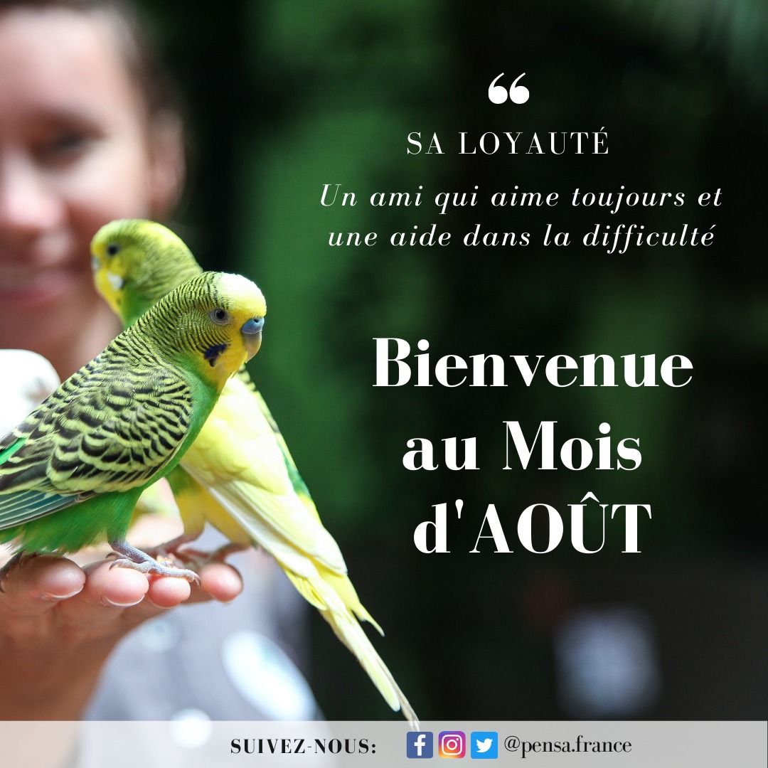 PensaFrance's tweet photo. Sa fidélité dure à toujours 🙏🏾 Bienvenue au mois d'Août 🌟🔥 @PensaIntl 

#Pensafrance #Saloyauté #Août #Nouveaumois https://t.co/bgz6n8RGUM